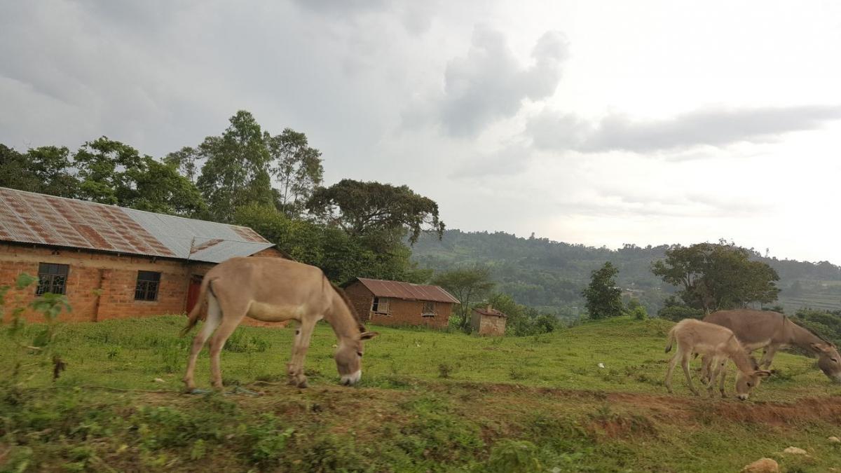Misiune ortodoxă în Kenya- 17 oct 2017