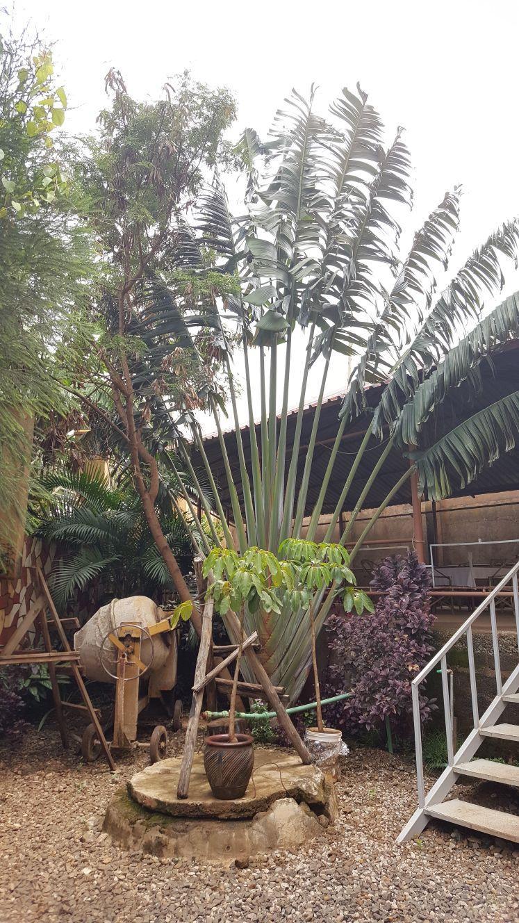 Misiune ortodoxă în Kenya- 19 oct 2017