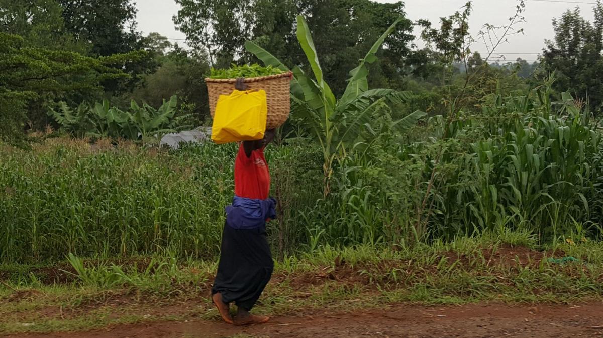 Misiune ortodoxă în Kenya- 25 oct 2017